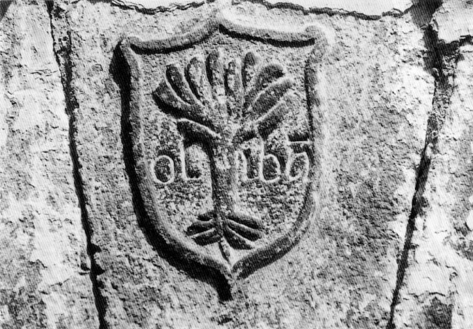 Torla Ordesa escudo